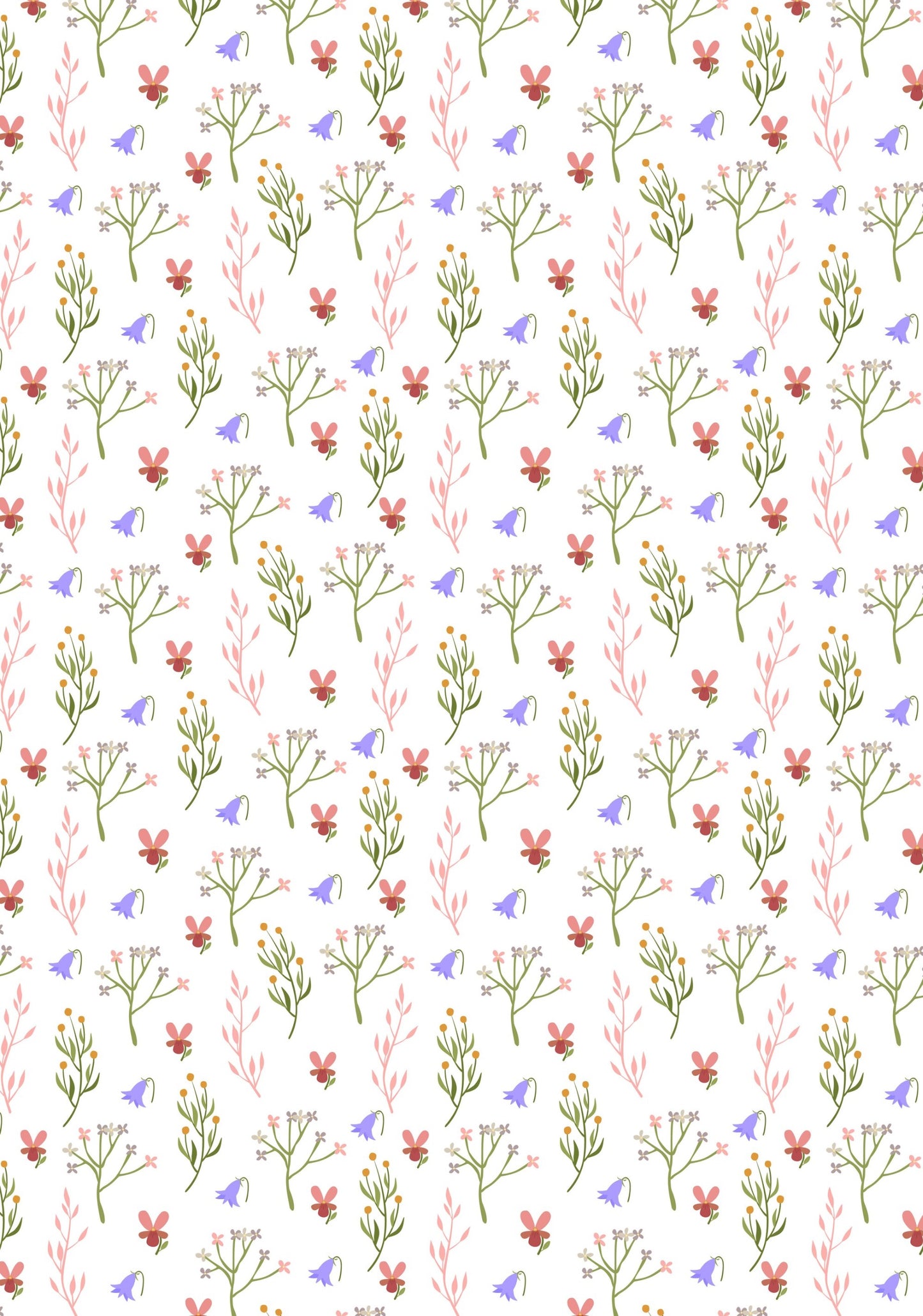 Transfer Sheet - V14