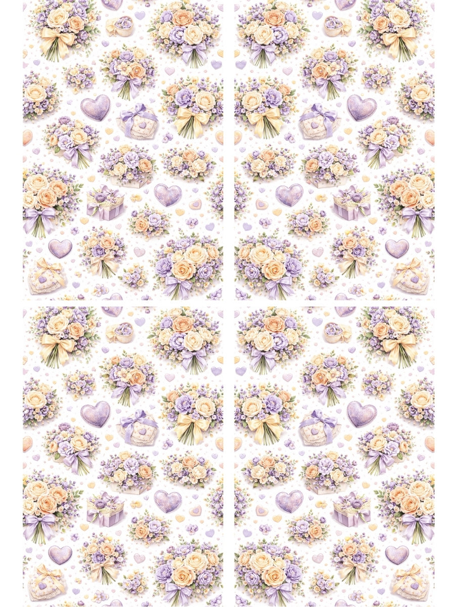 Transfer Sheet - V DAY6