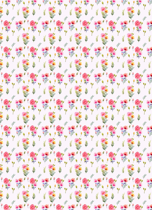 Transfer Sheet - V12