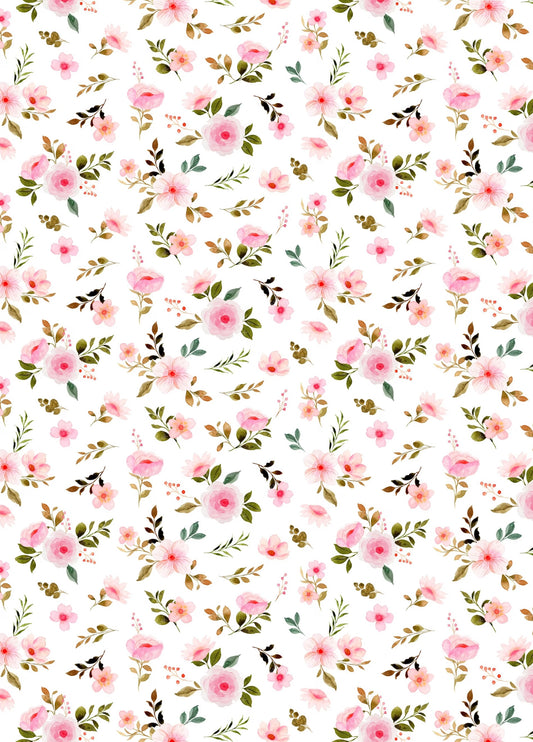 Transfer Sheet - V31