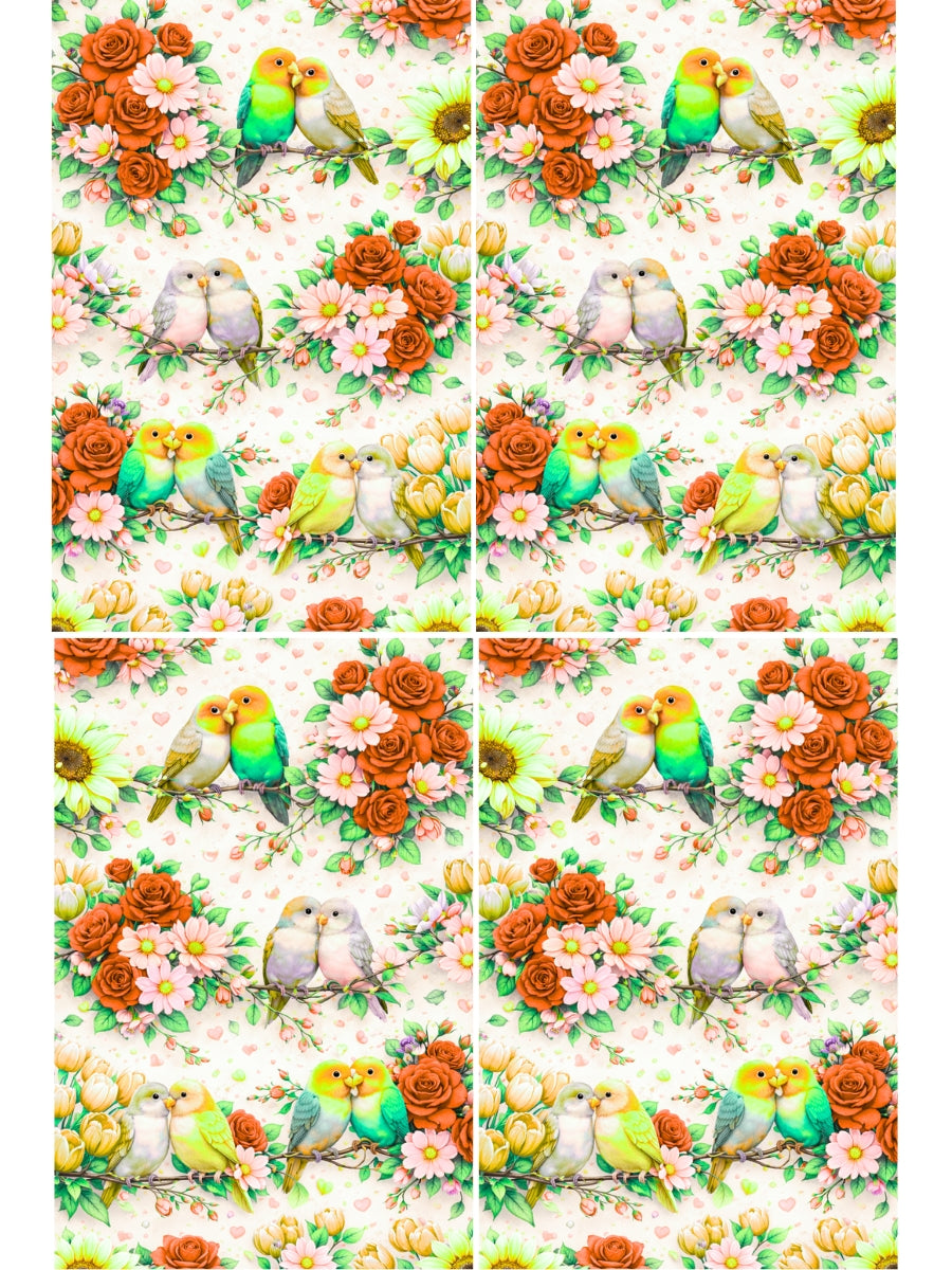 Transfer Sheet - V DAY16