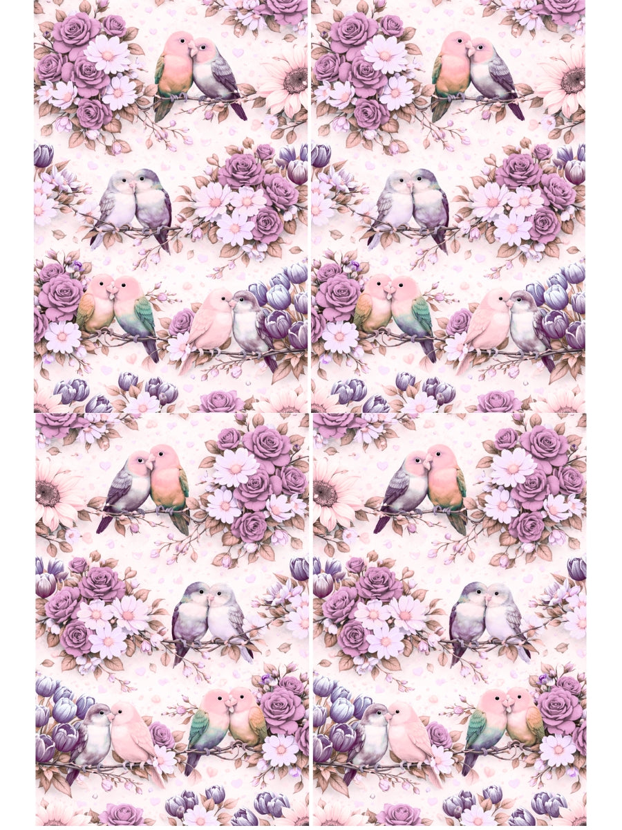 Transfer Sheet - V DAY16