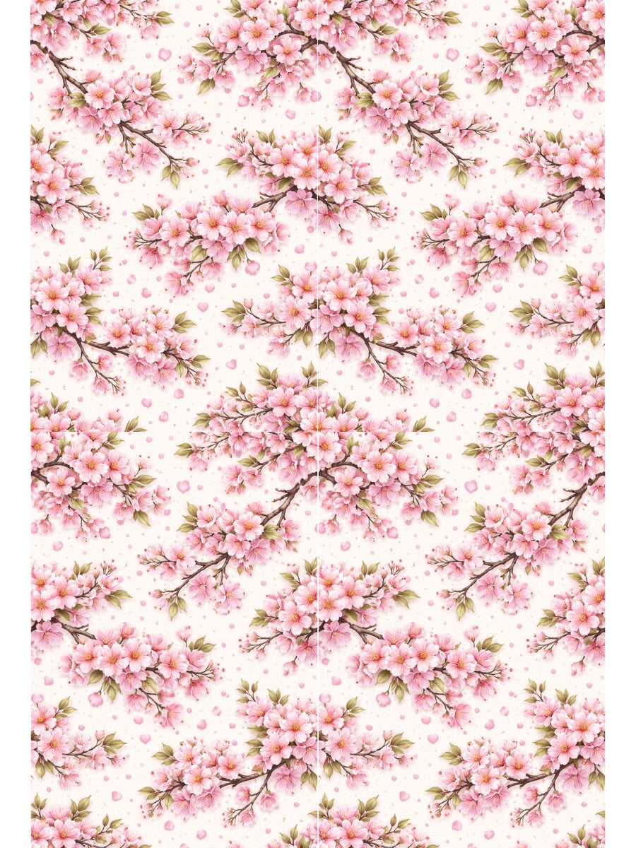 Transfer Sheet - V DAY8