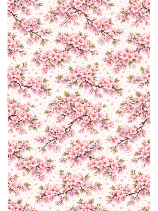 Transfer Sheet - V DAY8